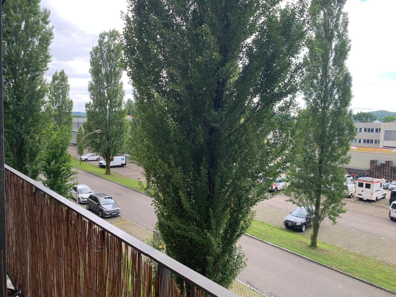 Rheinfelden Homestay Kültér fotó